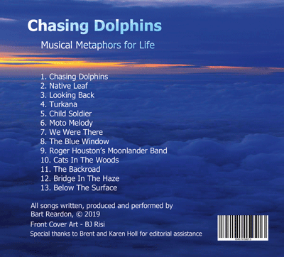 Chasing Dolphins by Bart Reardon