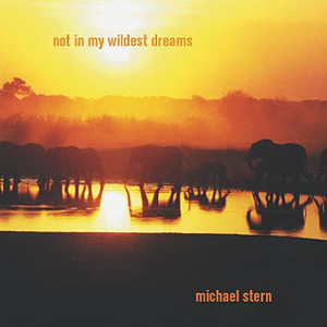 Not in My Wildest Dreams by Michael Stern